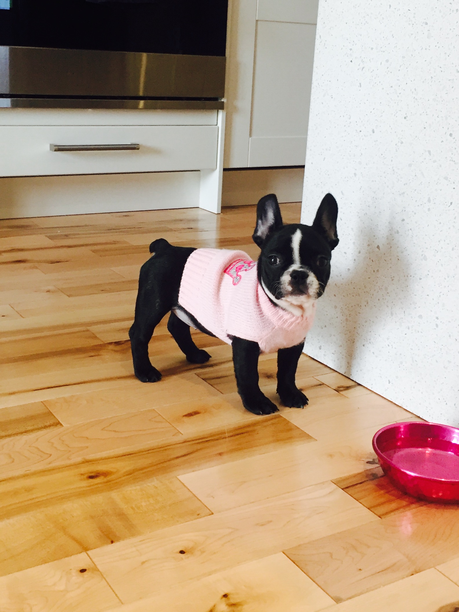 Ruffles