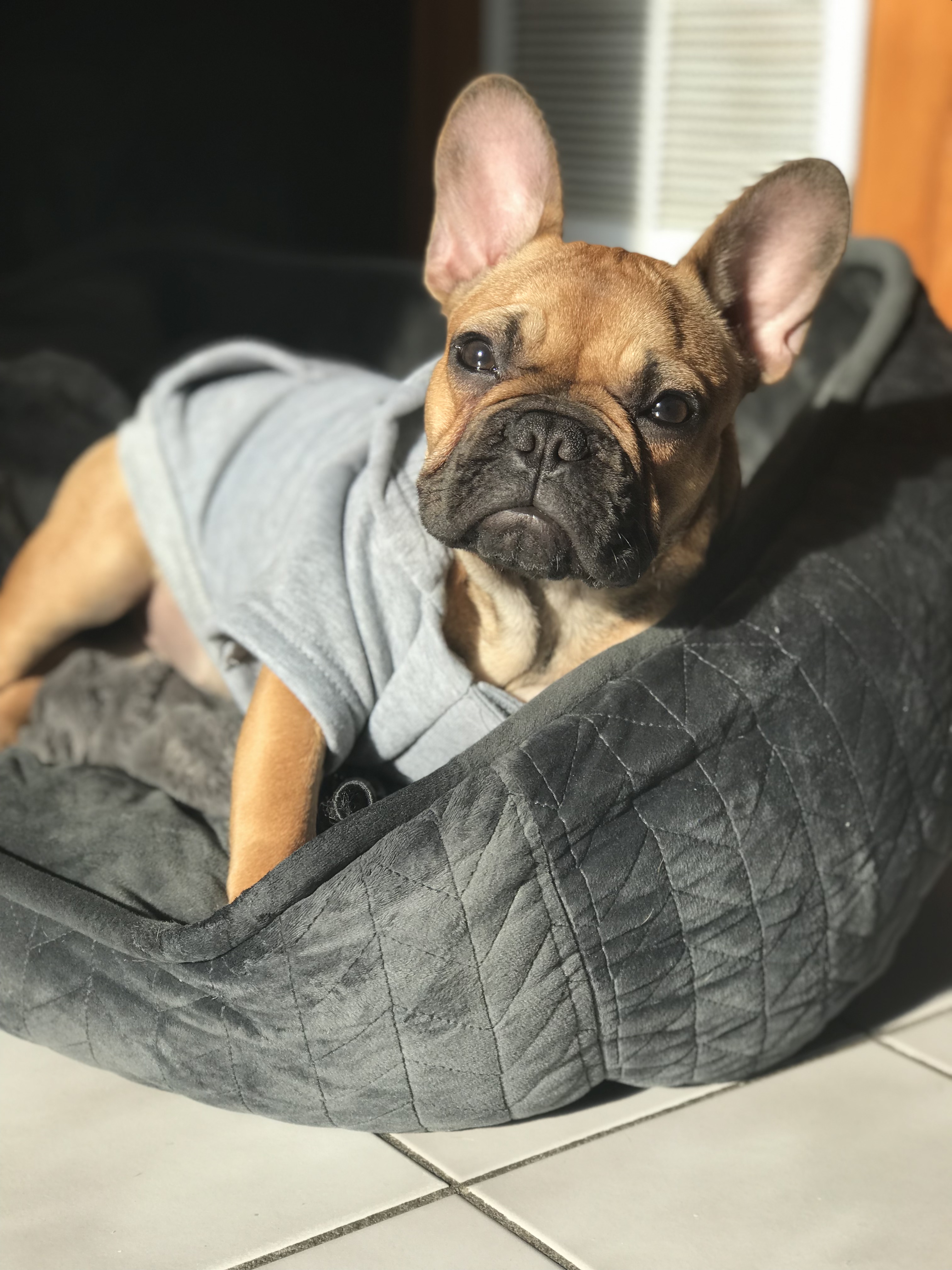 Penny