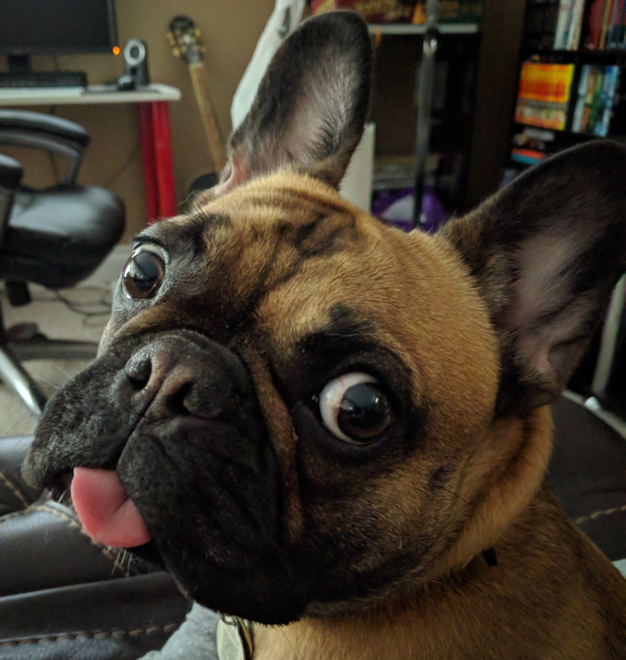 Penny