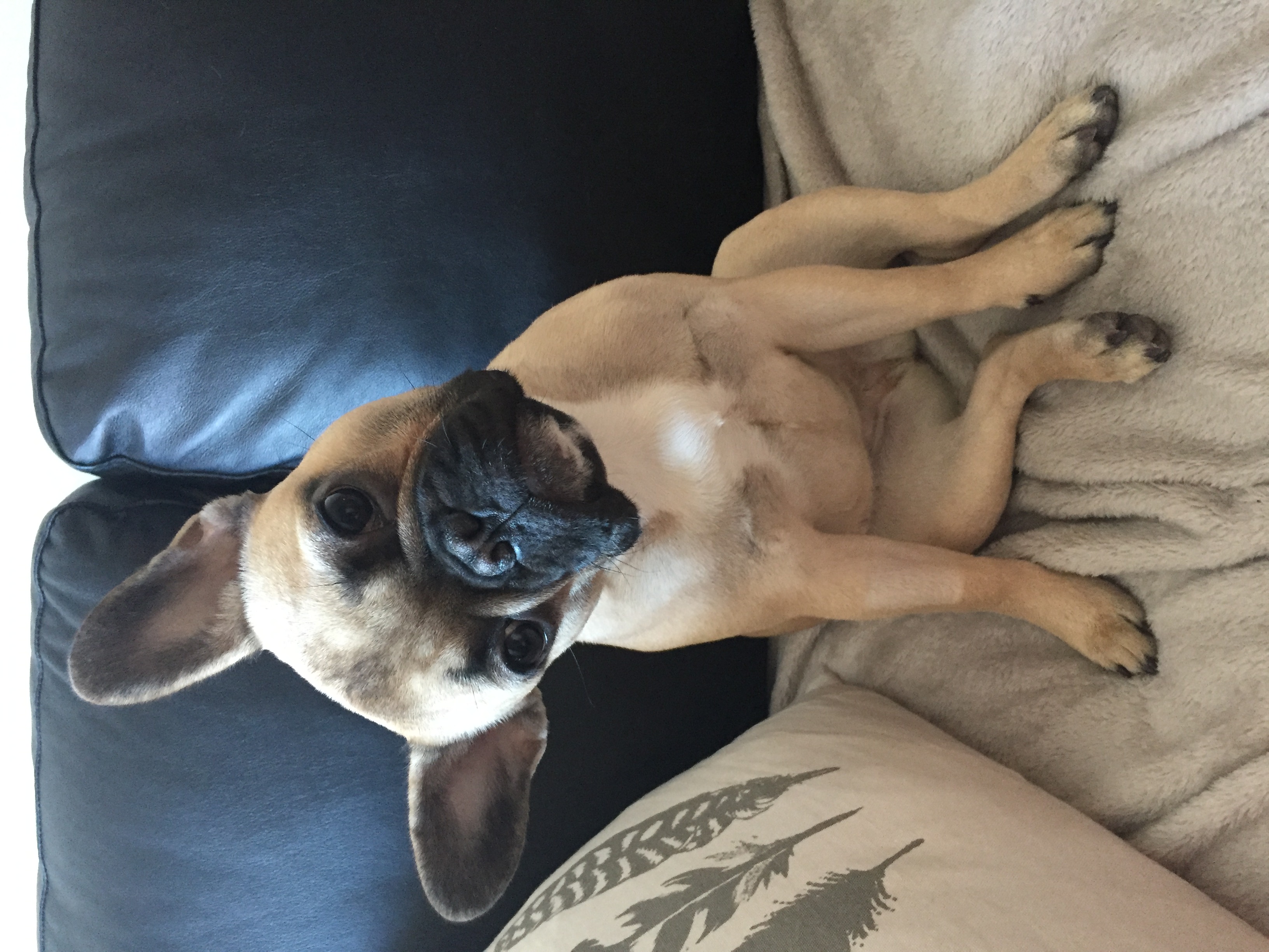 Dani-9 months