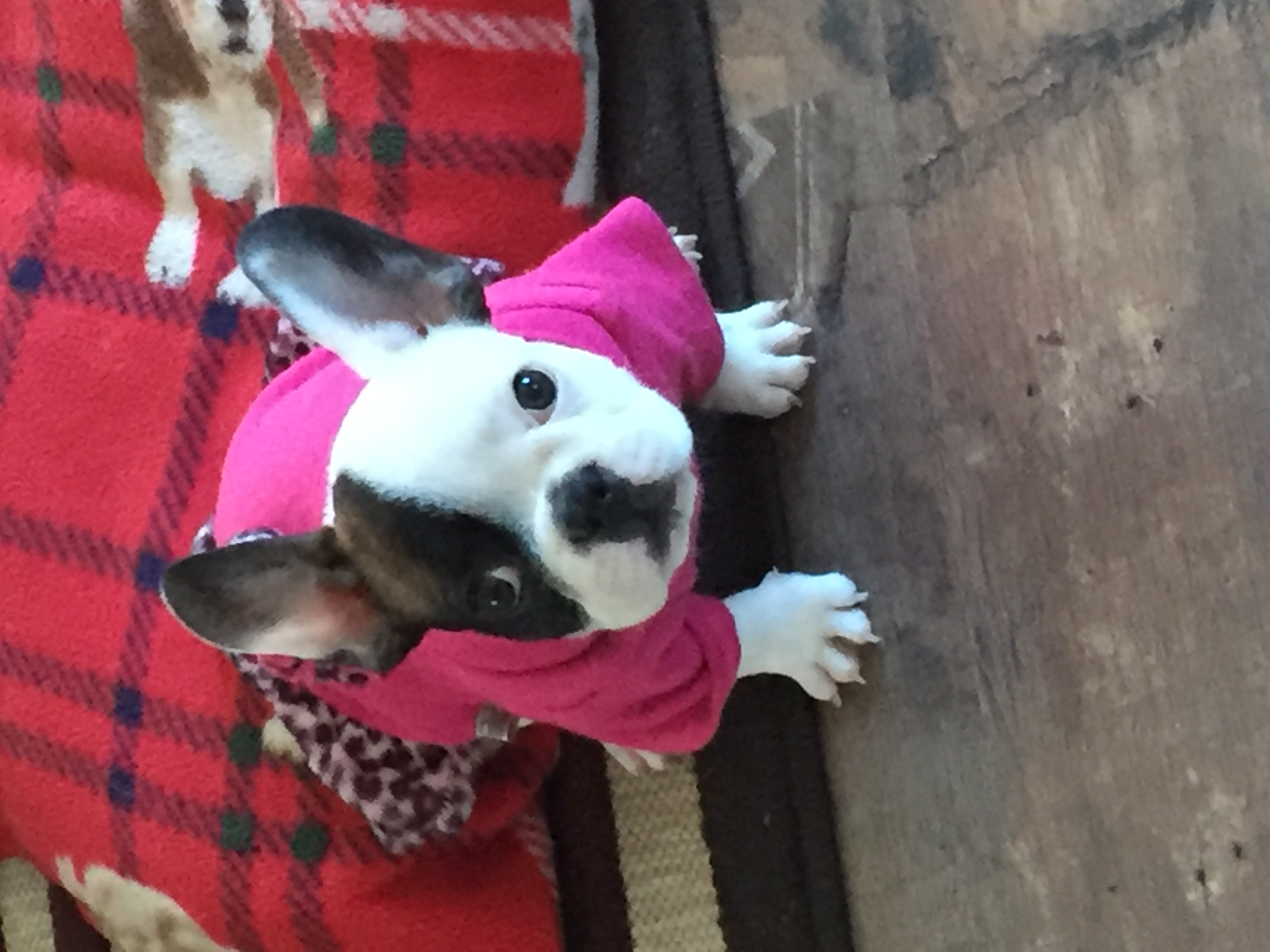 Coco