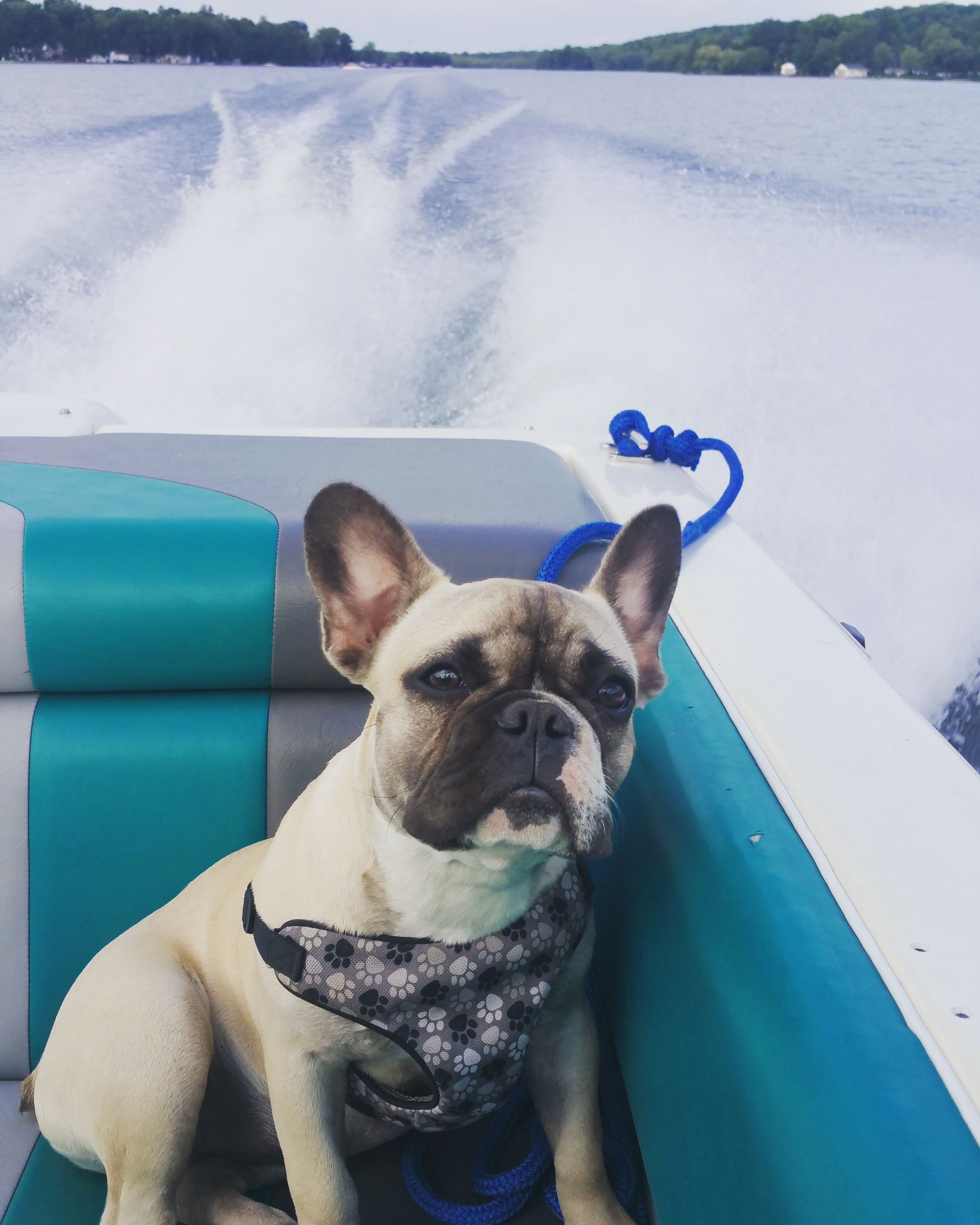 Boat ride