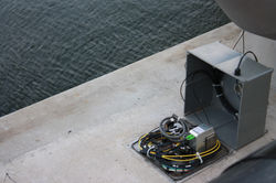 IMG_4134 - Copy