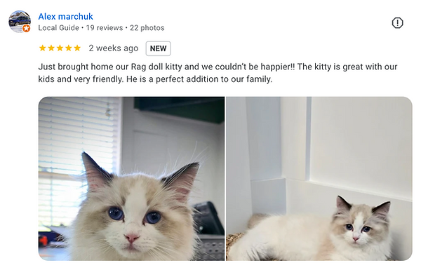 Screenshot 2024-06-26 at 7.29.31 PM.png