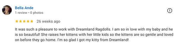 Screenshot 2024-06-27 at 1.08.21 AM.png