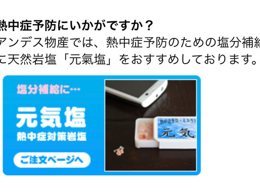 軽い熱中症でした。