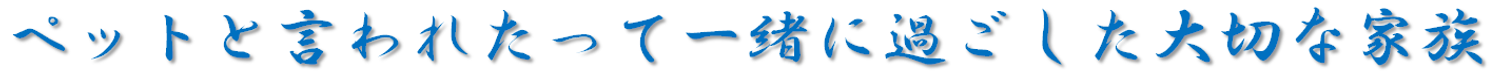 ペットと言われたって大切な家族.png