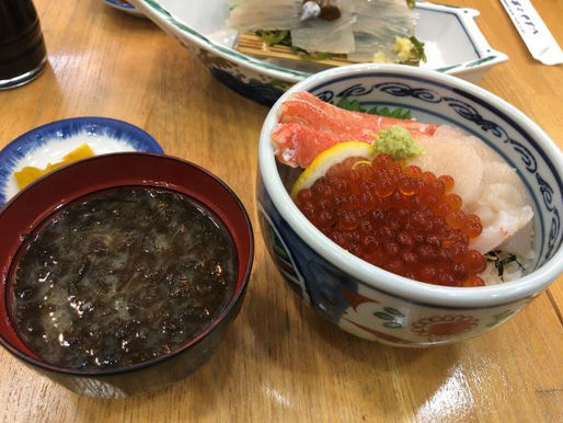 函館帰省