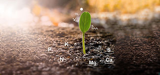 AGRIVI-Blog-The-Power-of-Data-for-ESG-Compliance-COVER.jpeg