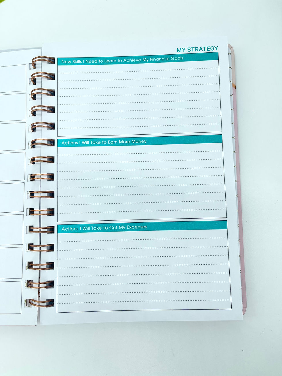 Thumbnail: Rose Budget Planner