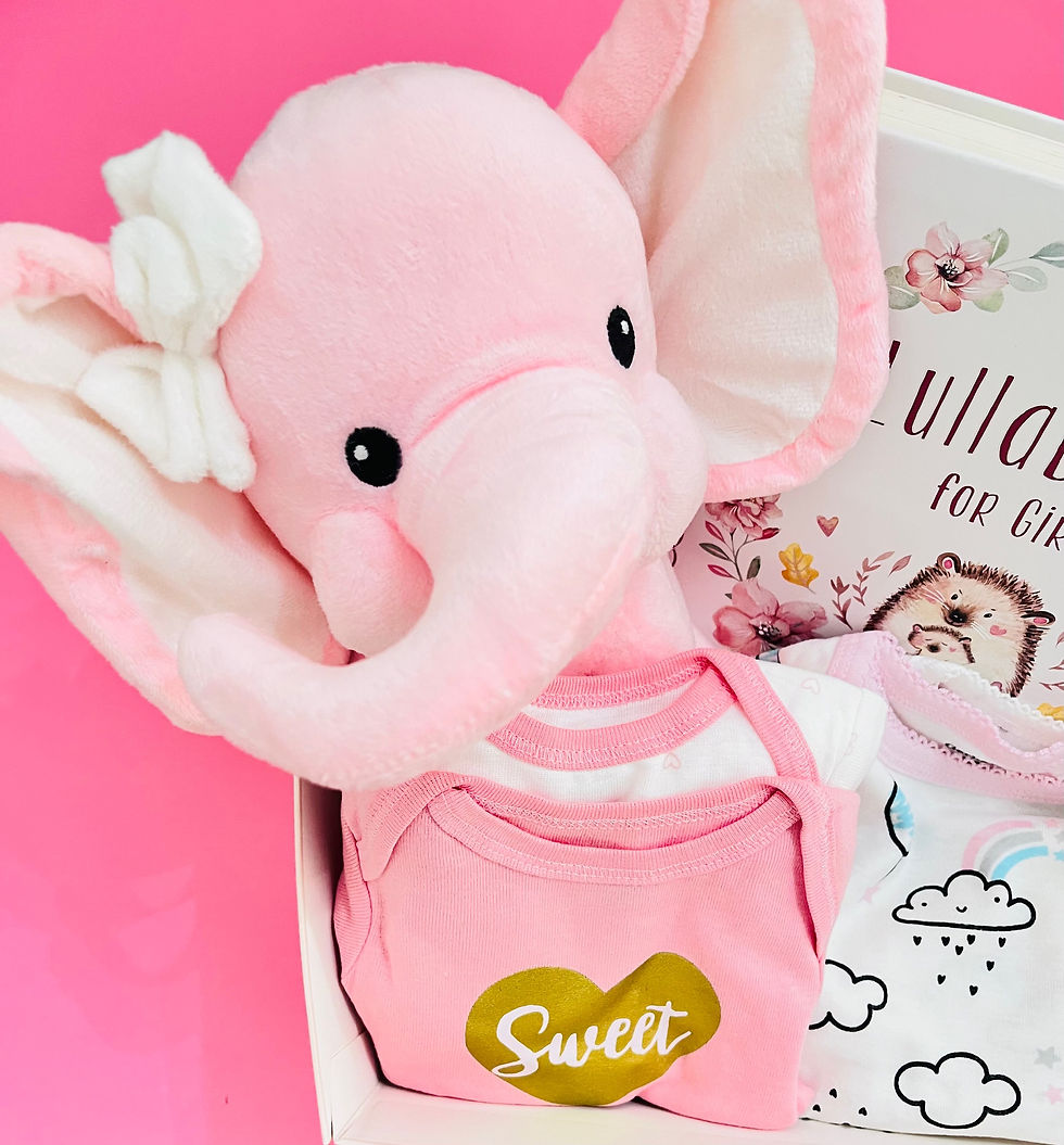 Thumbnail: Lullabible For Girls Baby Gift Set