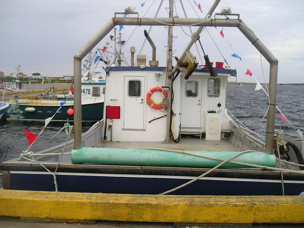 Équipement de pêche