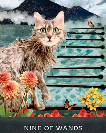 Thumbnail: Grimalkin’s Curious Cats Tarot Deck TC51