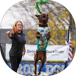 Untitled design (3).png