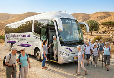 הסעות לקשישים.jpg