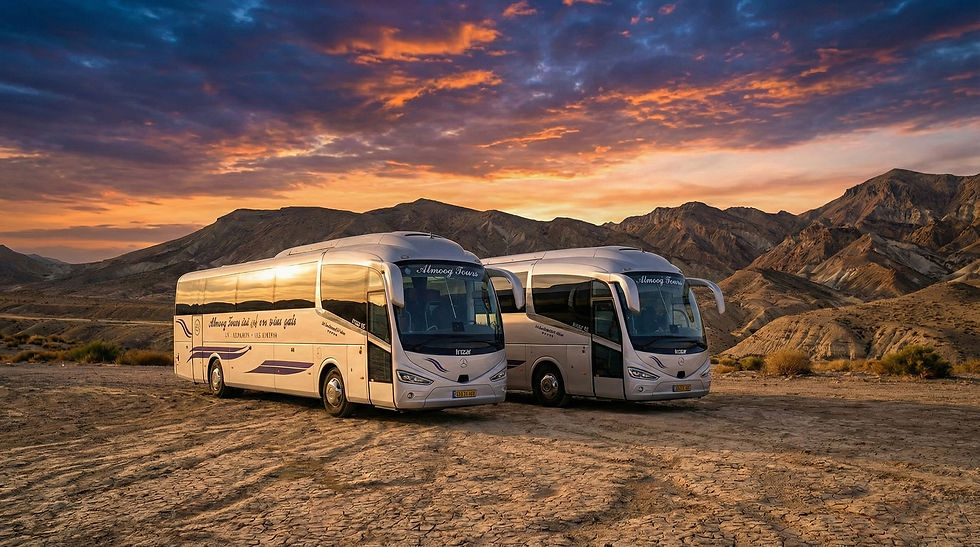 אלמוג הסעים1.jpg