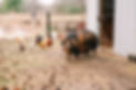 TGTFarmsSanta2024-00026.jpg