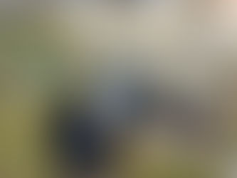 夏期講習では総復習を・・