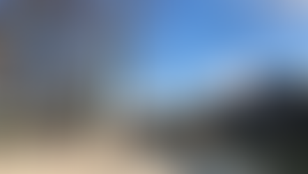 協尋樹洞 Feb19 - Mar 07