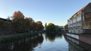 Day 31-37: 荼蘼花開