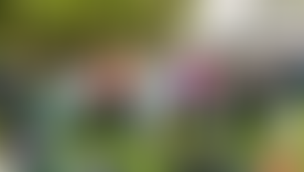 Day 10-14: OWL Week, Freshman Again