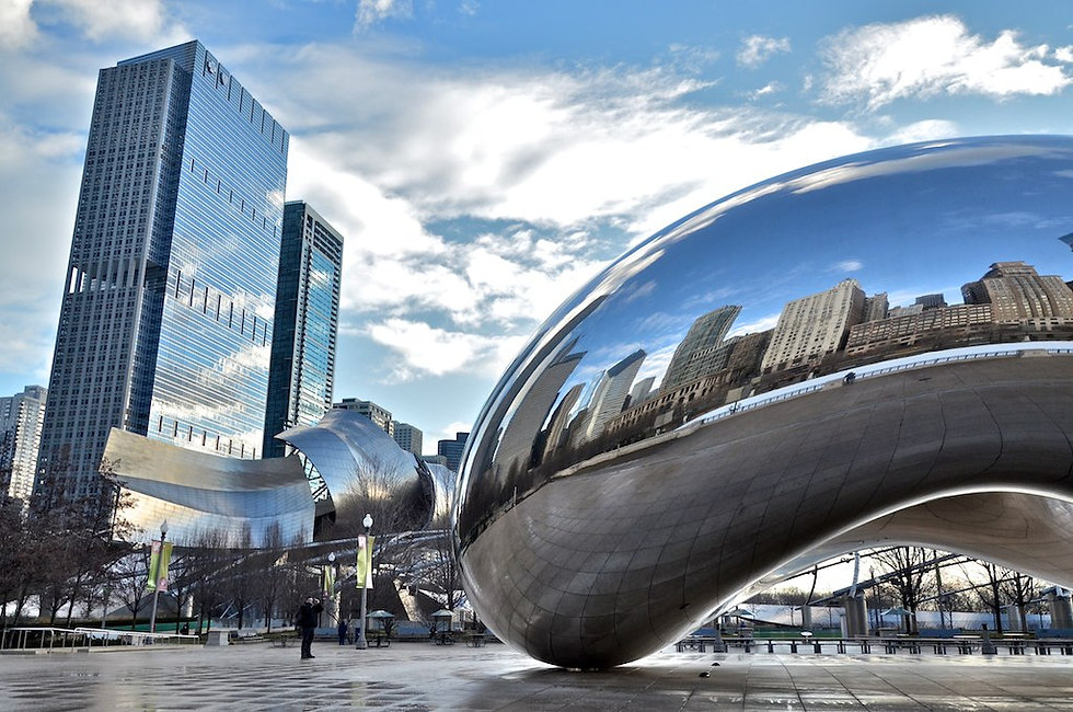 bean.jpeg