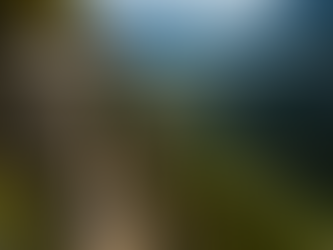 Via Ferrata – ce qu'il faut savoir