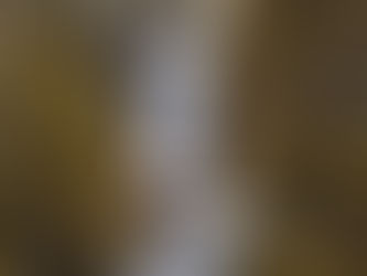 Cirque de saint même