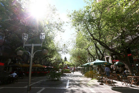 Soleada calle arbolada, Estación Mendoza