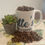 Thumbnail: COZY CASA MEDIUM ROAST