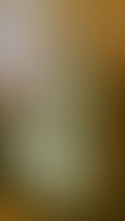 Schroeter Diesel Technology Museum