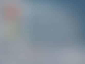 Central Fuel Injection Service Co.