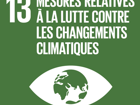Qu'est ce que l'ODD 13?