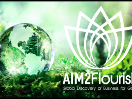 Qui sommes-nous ? (ODD13)