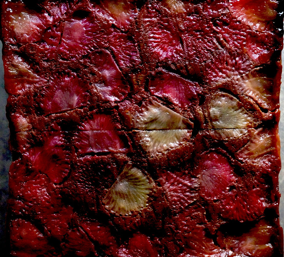 WILLSTARS 苺のブラウニーショコラケーキ