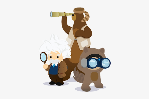 Understand Basic Salesforce Platform Coding Concepts