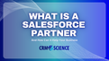permission set group assignment object What is a Salesforce Partner and How Can It Help Your Business