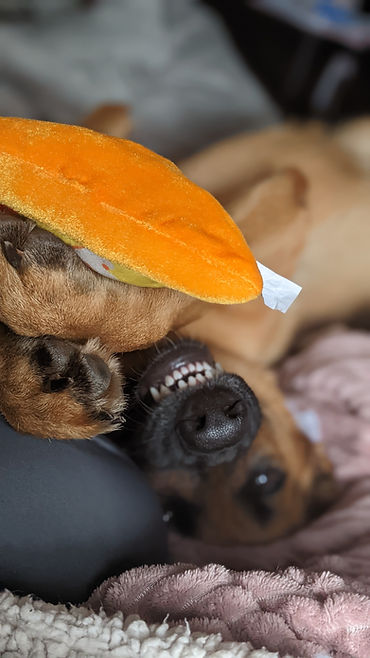 PXL_20221013_144143245.PORTRAIT (1).jpg