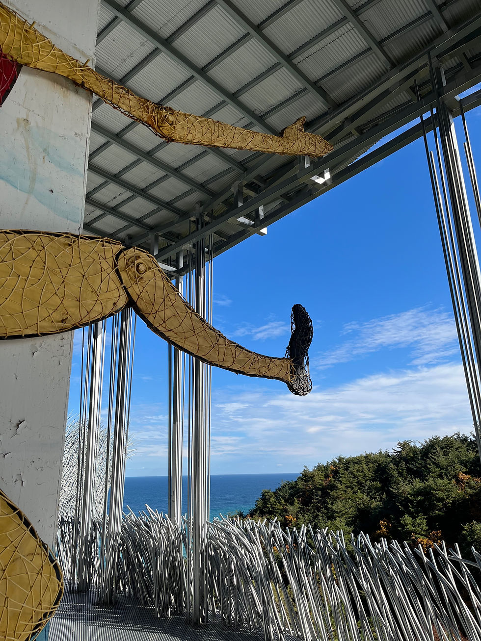 Learning by doing: finding my place in education