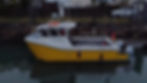 IMG-20240101-WA0010.jpg