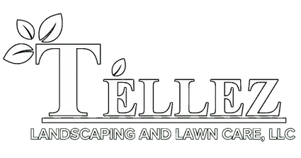 newnewlogo_edited.png