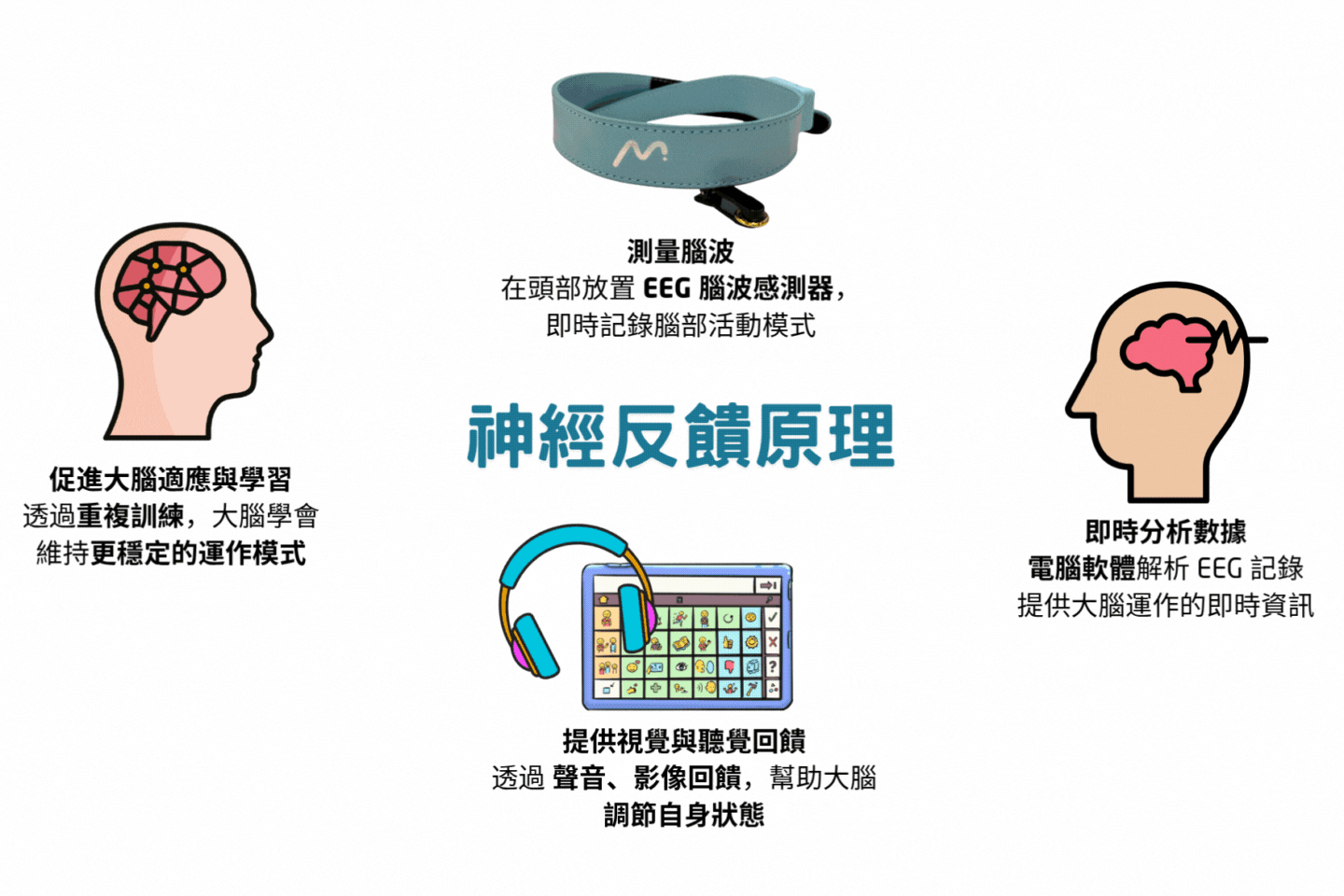 website picture 8.gif