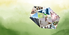 credit-mall-limited-logo-investment-growth-11.png