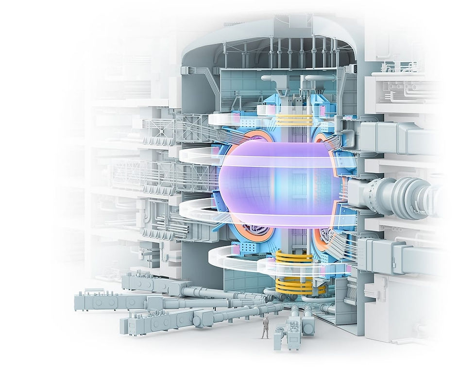 1. Irudia. ITER proiektuko Tokamak makina