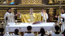 Homily of Archbishop Charles John Brown on the Feast of St. Francis in the Special Jubilee Year of the 800th Anniversary of his Transitus