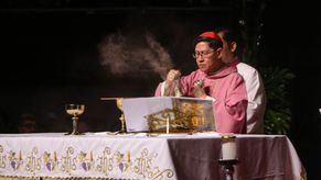 Cardinal Tagle: I Will Now Be an OFW