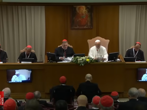 Pope Leo XIV: Mental Health Issues Leading to Suicide "One of the Deepest Wounds of Our Time" 