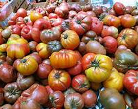 Heirloom Tomatoes