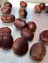 Chestnuts (1).jpeg