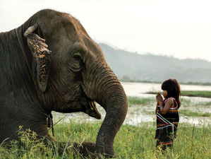 iluminación de un gigante